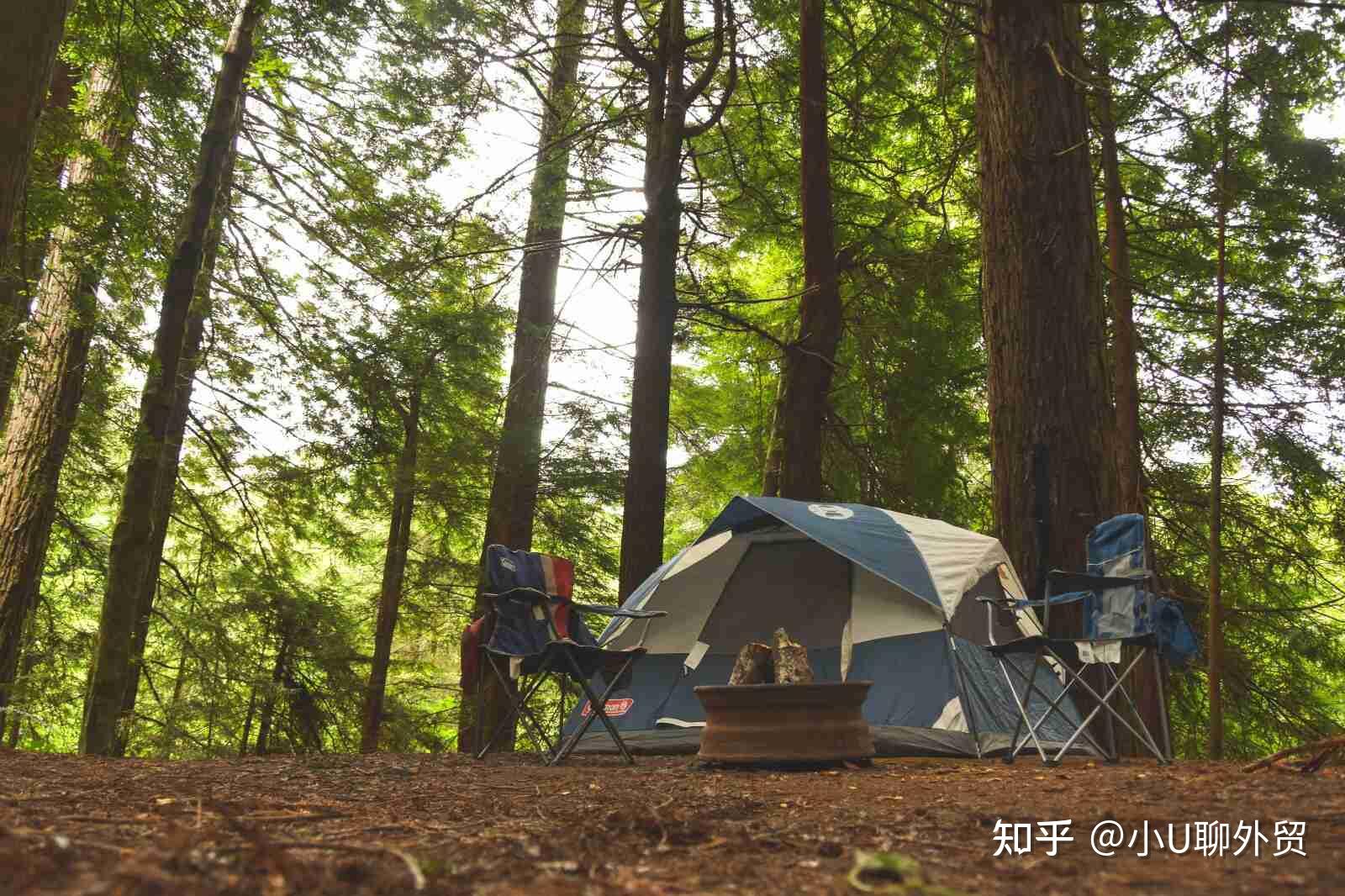 包含赛地聚焦——法甲窗口期热度飙升,尤文图斯防线松动,更衣室稳定,控场能力受关注的词条 包含赛地聚焦——法甲窗口期热度飙升,尤文图斯防线松动,更衣室稳定,控场能力受关注的词条